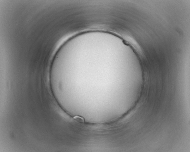 X0000115391288200911241239