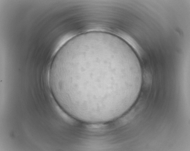 X0000115391290200911241239