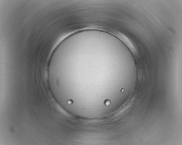 X0000115391292200911241239