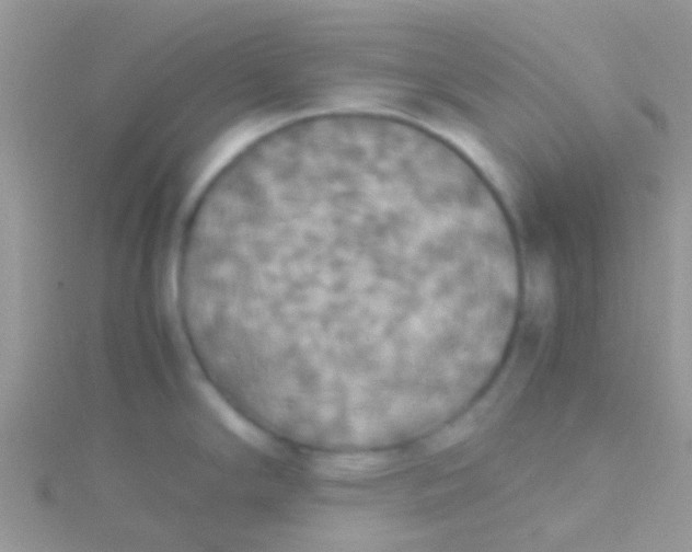 X0000115391294200911241239