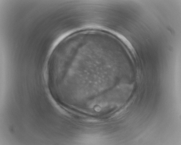 X0000115391295200911241239