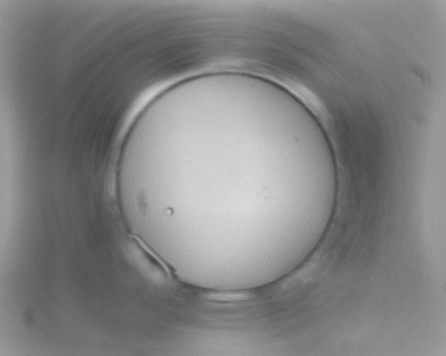 X0000115391296200911241238