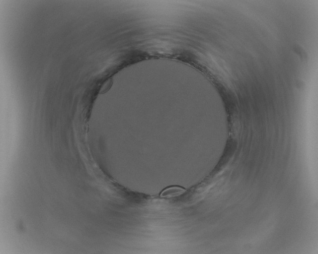 X0000115391297200911241238