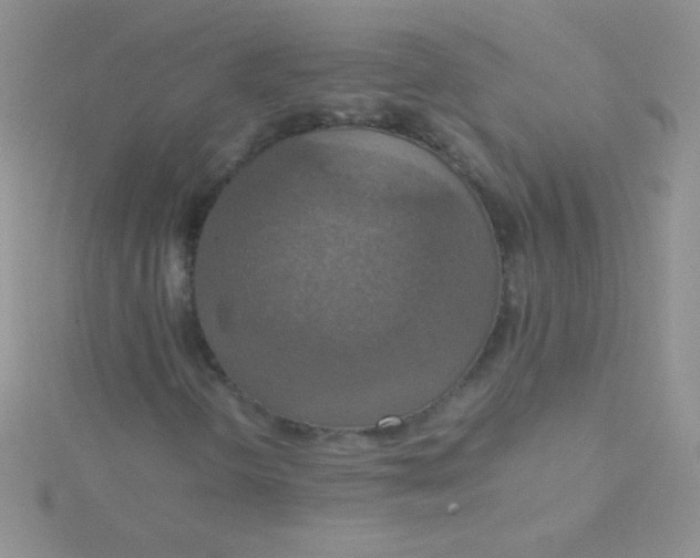 X0000115391298200911241238