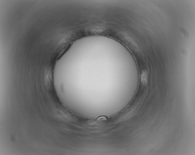 X0000115391299200911241238