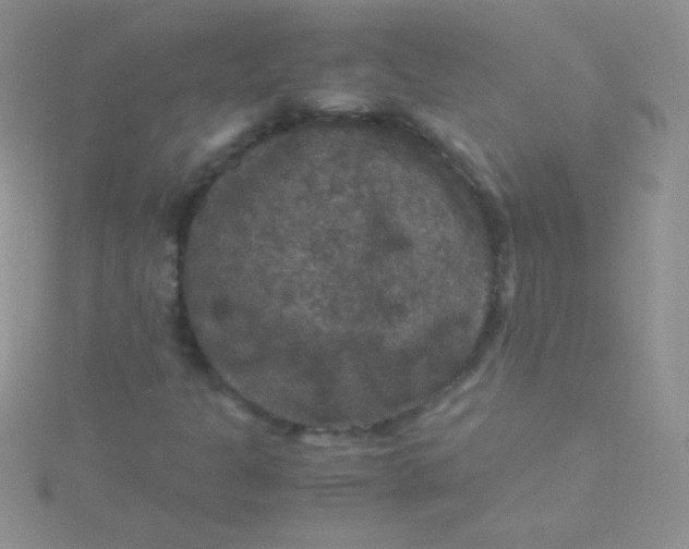 X0000115391301200911241238