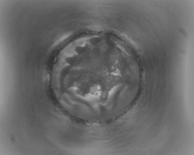 X0000115391302200911241238