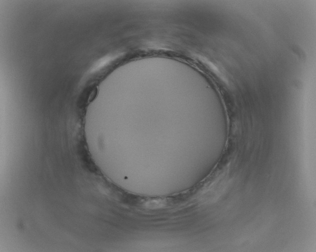 X0000115391303200911241238