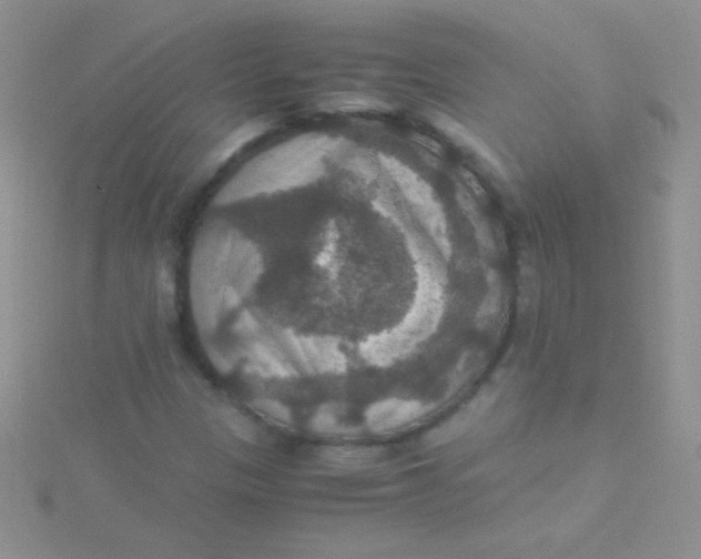 X0000115391305200911241238