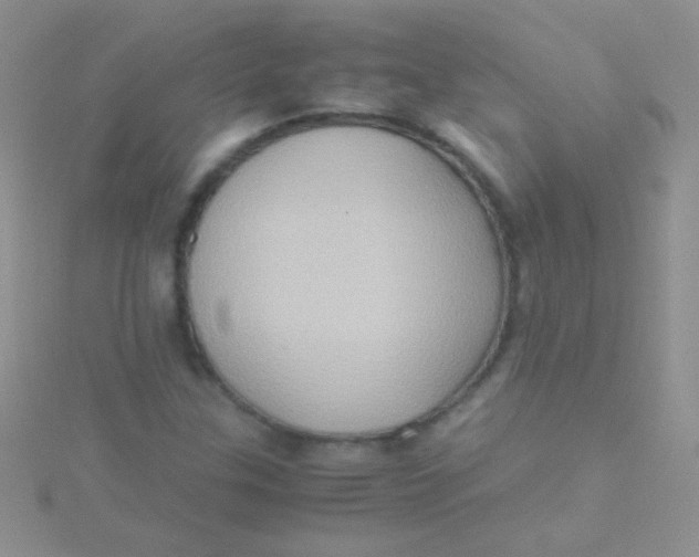 X0000115391307200911241238