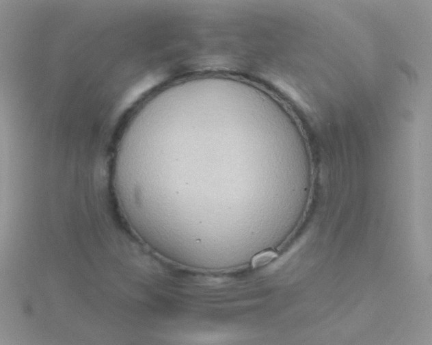 X0000115391309200911241238