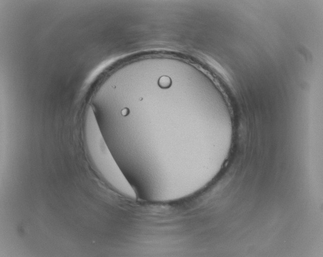 X0000115391310200911241238