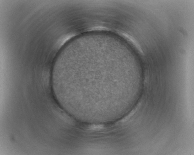 X0000115391313200911241238