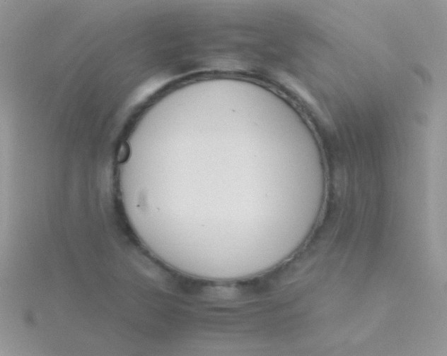 X0000115391315200911241238