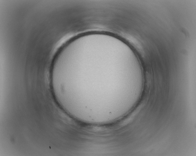 X0000115391318200911241238