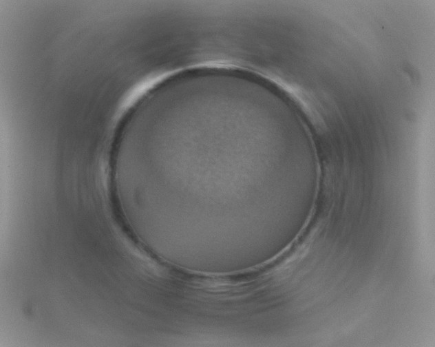 X0000115391319200911241238