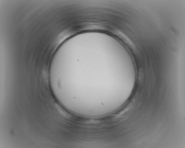 X0000115391321200911241238