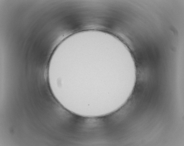 X0000115391322200911241238