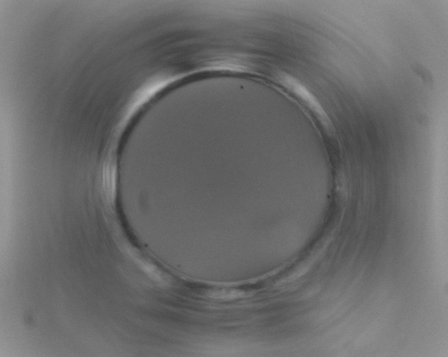 X0000115391323200911241238