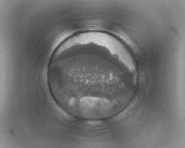 X0000115391325200911241238