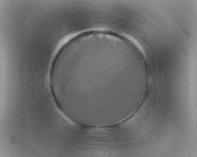 X0000115391327200911241238