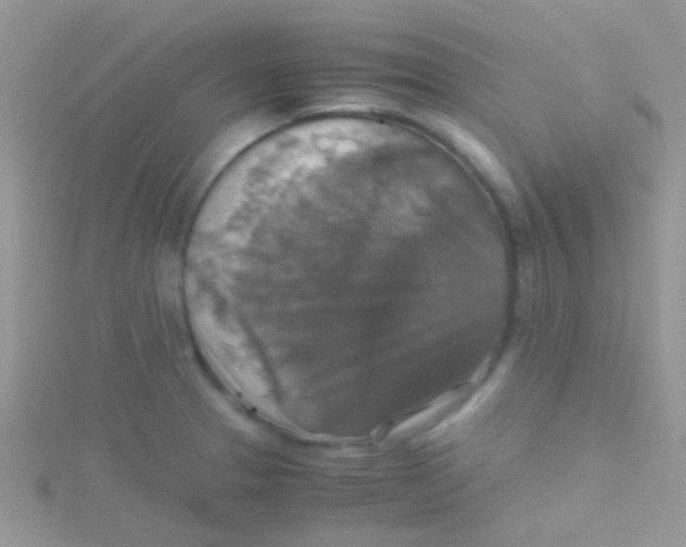 X0000115391329200911241238