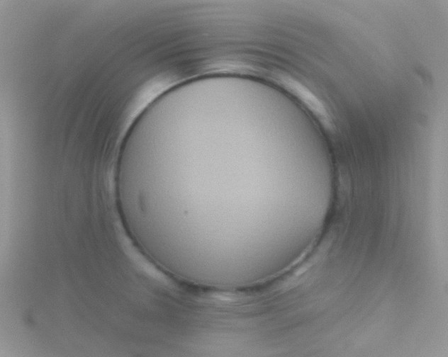 X0000115391330200911241238