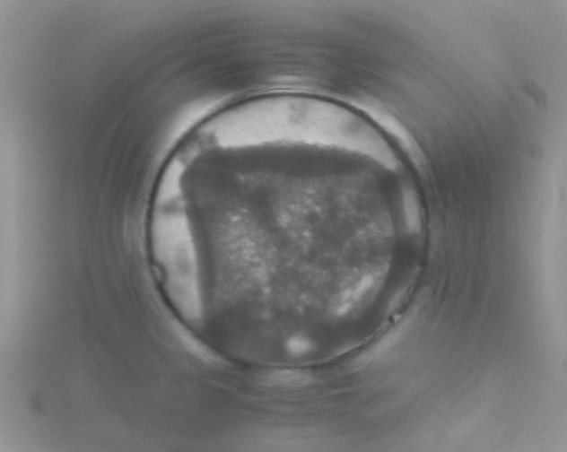 X0000115391333200911241238