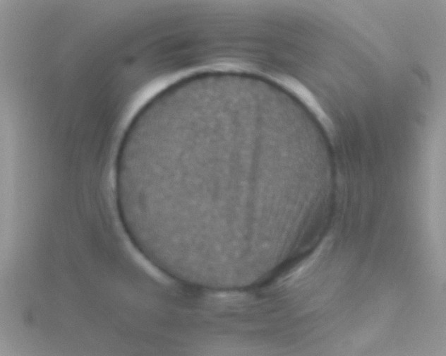 X0000115391335200911241238