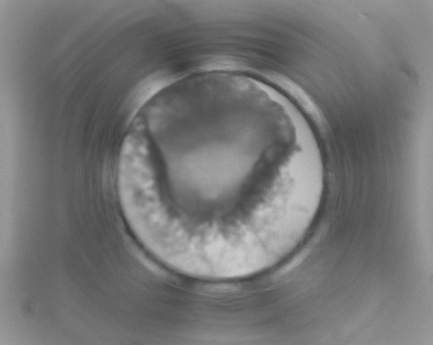 X0000115391337200911241238