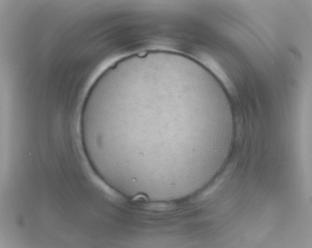 X0000115391339200911241238