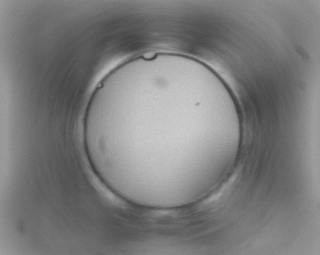 X0000115391341200911241238