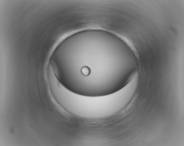 X0000115391342200911241238