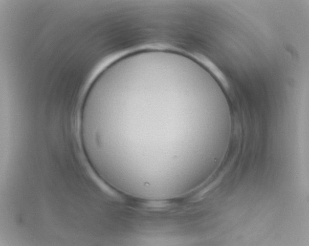 X0000115391343200911241238