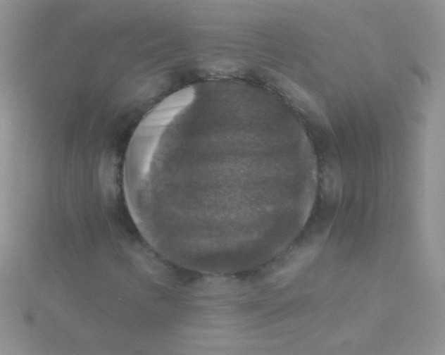 X0000115391346200911241238