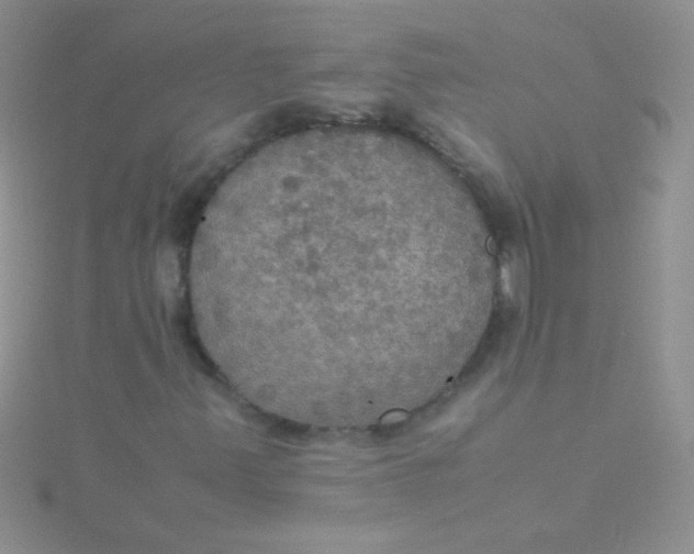 X0000115391347200911241238