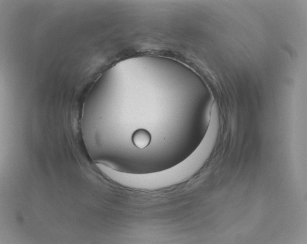 X0000115391348200911241238