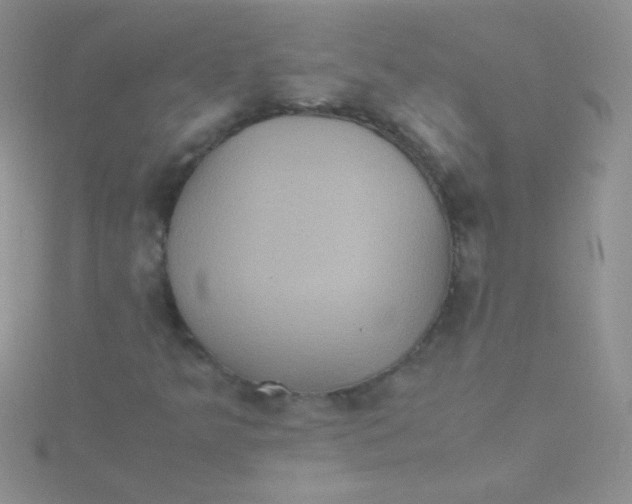 X0000115391349200911241238