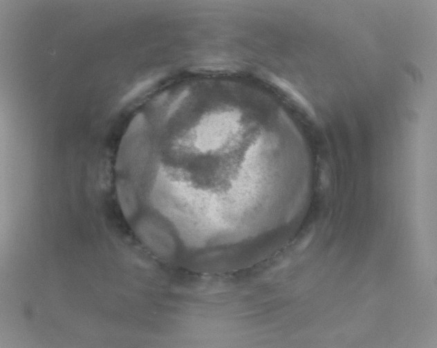 X0000115391350200911241238