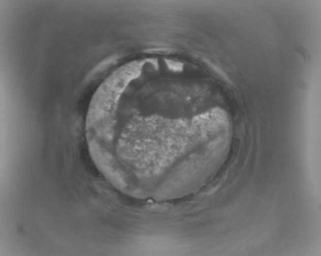 X0000115391351200911241238