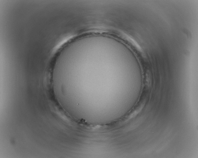 X0000115391352200911241238