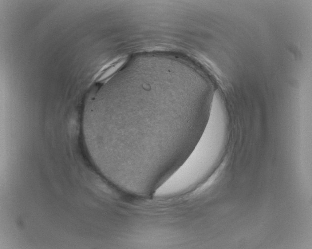 X0000115391353200911241238