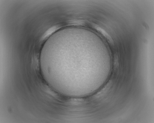 X0000115391354200911241238