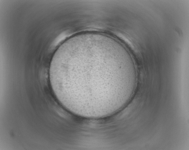 X0000115391355200911241238