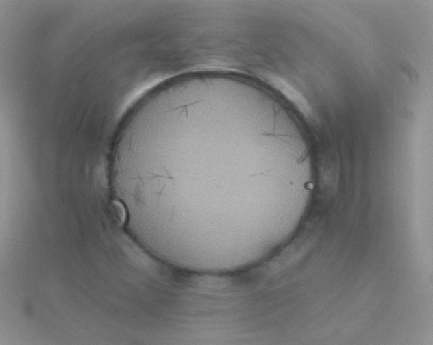 X0000115391356200911241238