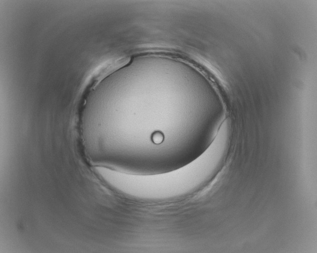 X0000115391357200911241238