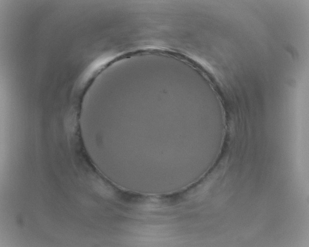 X0000115391359200911241238