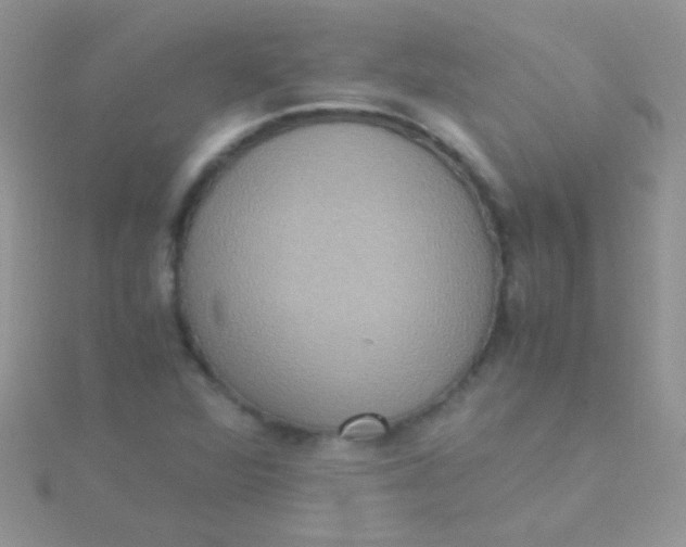 X0000115391360200911241238