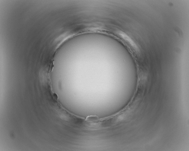 X0000115391361200911241238