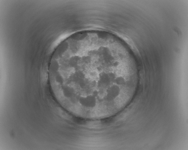 X0000115391363200911241238